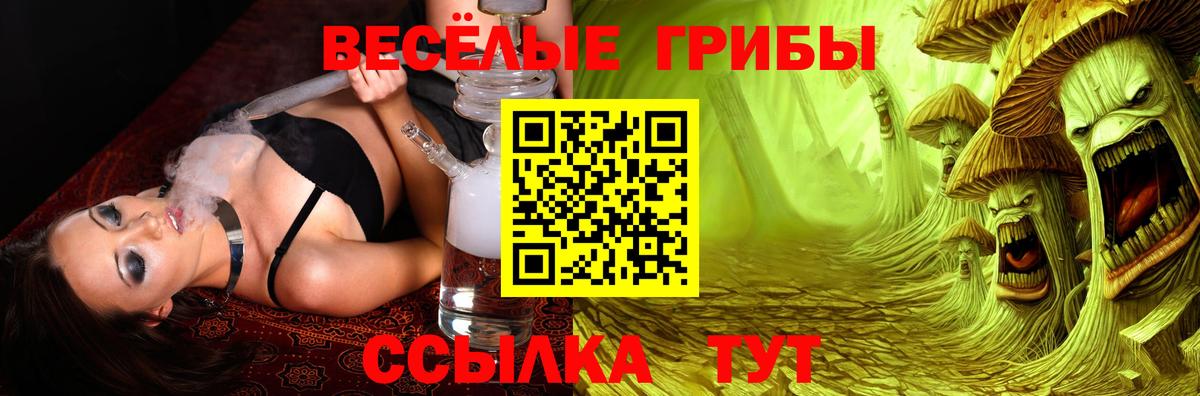 Псилоцибиновые грибы GOLDEN TEACHER  Вход с VPN  Саров  Галлюциногенные грибы Cubensis 